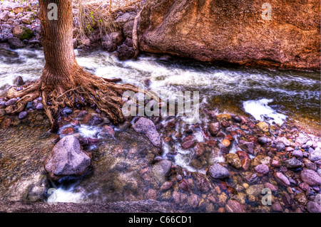 Eine besonders schöne Schlucht bildet Fish Creek, eine langwierige Drainage, das aus der Mitte des Gebirges fließt. Stockfoto