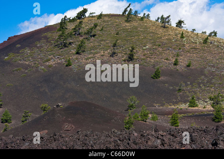 Zerklüftete Gelände im Krater des Moon Nationalmonument and Preserve in Idaho. Stockfoto