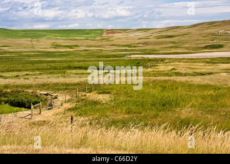 Groß angelegte Getreideanbau und Viehzucht auf den fast baumlosen Hochebenen von Montana Stockfoto