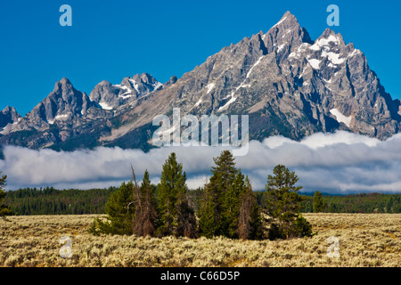 Grand Teton Bergkette mit Nebel und tief liegenden Wolken im frühen Morgenlicht. Stockfoto