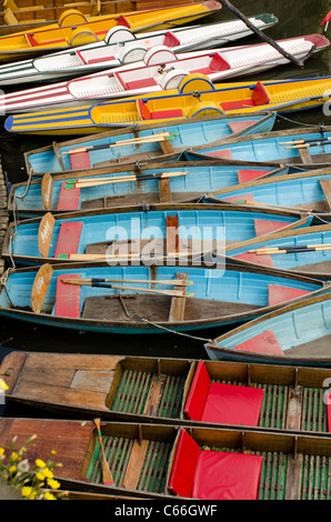 Flache, Ruderboote und Tretboote zu mieten außerhalb Magdalen Bridge Bootshaus am Fluss Cherwell, Oxford Stockfoto