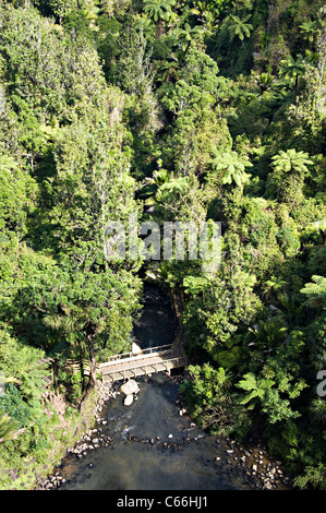 Brücke über den Pakoka-Fluss unter Bridal Veil Falls in Waireinga Scenic Reserve Makomako Waikato Nordinsel Neuseeland Stockfoto
