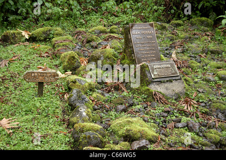 Dian Fossey das Grab neben der Ziffer, Mountain Gorilla Grab Friedhof, Karisoke Stockfoto