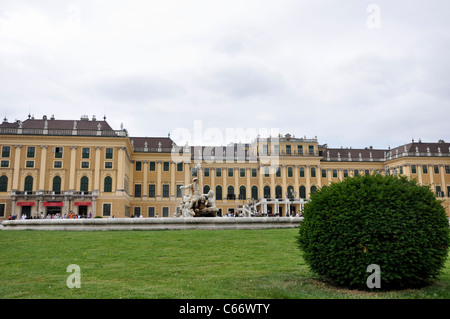 Schloss Schönbrunn Bush und Brunnen im Vordergrund, Wien, Österreich, Europa Stockfoto
