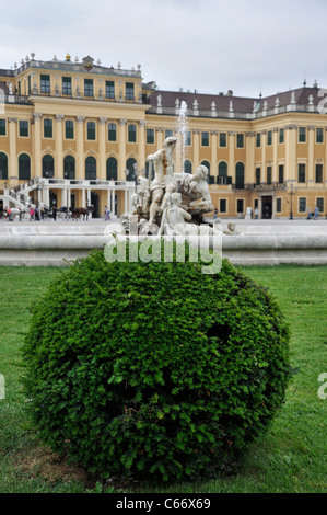 Schloss Schönbrunn Bush und Brunnen im Vordergrund, Wien, Österreich, Europa Stockfoto