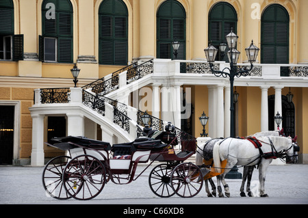 Pferd und Kutsche vor Schloss Schönbrunn, Wien, Österreich, Europa Stockfoto