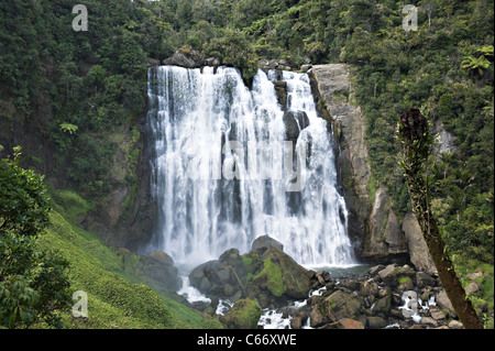 Die schöne Marokopa Falls im Tawarau Wald in der Nähe von Te Anga Waitomo Waikato North Island Neuseeland NZ Stockfoto