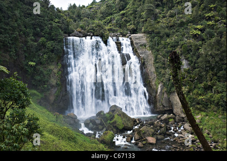 Die schöne Marokopa Falls im Tawarau Wald in der Nähe von Te Anga Waitomo Waikato North Island Neuseeland NZ Stockfoto