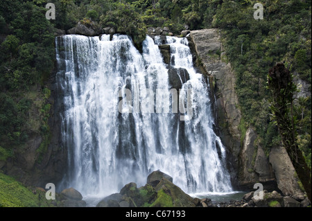 Die schöne Marokopa Falls im Tawarau Wald in der Nähe von Te Anga Waitomo Waikato North Island Neuseeland NZ Stockfoto