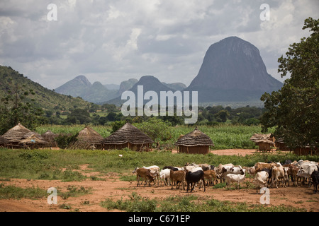 Hügel erheben sich über Grashütten in Abim Distrikt, Nord-Uganda, Ostafrika. Stockfoto