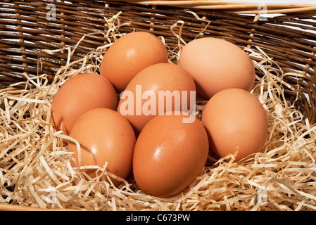 Sechs, ein halbes Dutzend, Hühner-Eiern in einem Korb Stockfoto