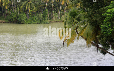 Kerala backwaters Stockfoto