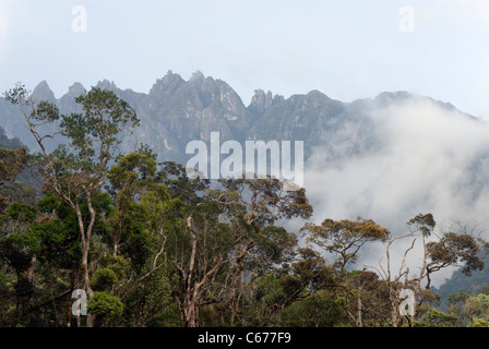 Untere Eiche-Kastanie Bergwald und die Mesilau Pinnacles im Mount Kinabalu National Park Sabah Borneo Malaysia Stockfoto