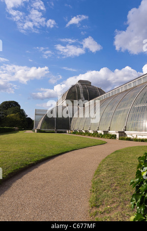London, Kew Gardens, Royal Horticultural Society - das Palmenhaus Stockfoto