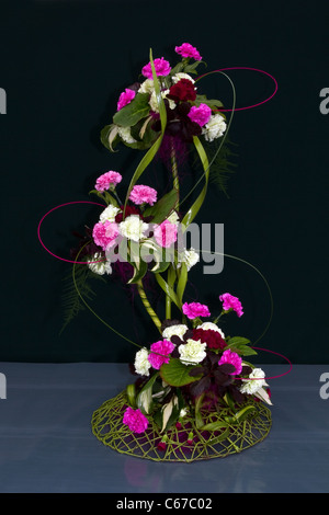 Zeitgenössische Blumenkunst, Pflanze, minimalistisches Pflanzendesign, Ikebana im Rikka-Stil, Komposition des Stilllebens, Wettbewerbsfähige Blumenarrangements, exzentrische Blumen in bunten Töpfen, besondere Elemente & abstrakte Exponate. Zen auf dem Southport Flower Show Showground 28., Victoria Park, 2011 Southport, Merseyside, Großbritannien Stockfoto