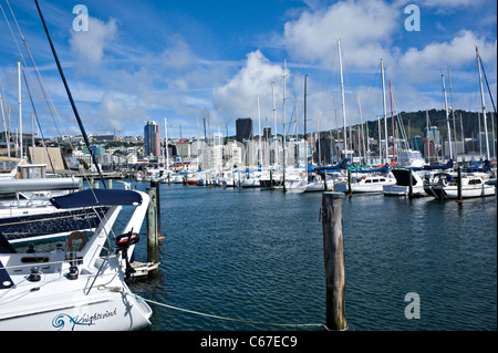 Hochsee Yachten Boote Motor und Crusiers im Chaffers Marina von Oriental Bay Wellington Nordinsel Neuseeland NZ festgemacht Stockfoto