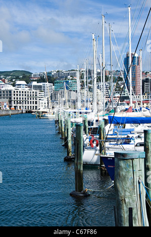 Hochsee Yachten Boote Motor und Crusiers im Chaffers Marina von Oriental Bay Wellington Nordinsel Neuseeland NZ festgemacht Stockfoto