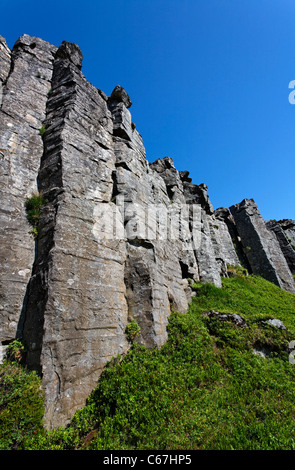 Basaltsäulen am Gerduberg, Snaefellsnes Halbinsel, Island Stockfoto