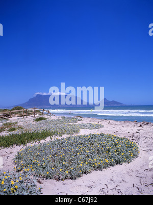 Table Mountain und Kapstadt gesehen vom Bloubergstrand, Kapstadt, Western Cape, Südafrika Stockfoto