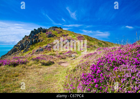 Morte Point in der Nähe von Morthoe, Woolacombe mit Blick auf den Kanal von Bristol, North Devon, England, UK Stockfoto