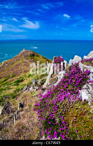 Morte Point in der Nähe von Morthoe, Woolacombe mit Blick auf den Kanal von Bristol und Lundy Island, North Devon, England, UK Stockfoto