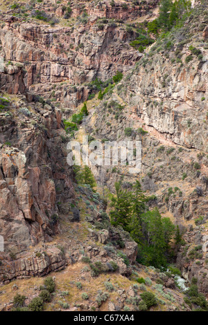 Shell-Canyon und Shell Creek, Bighorn National Forest, Wyoming Stockfoto