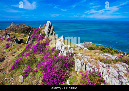 Morte Point in der Nähe von Morthoe, Woolacombe mit Blick auf den Kanal von Bristol und Lundy Island, North Devon, England, UK Stockfoto