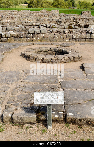 Auch in der Hauptverwaltung (Principia), in der römischen Festung von Vindolanda, in der Nähe der Hadrianswall, UK Stockfoto