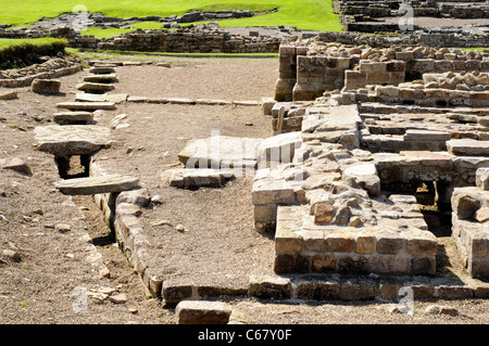 Römische Kanalisation in der römischen Festung von Vindolanda, in der Nähe der Hadrianswall, UK Stockfoto