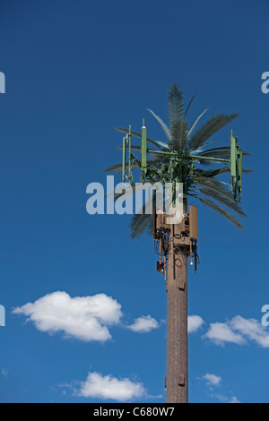 Las Vegas, Nevada - ein Handy-Turm als eine Palme getarnt. Stockfoto