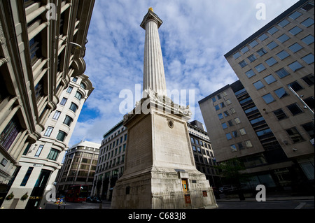 Das Monument, das in der Nähe der Pudding Lane errichtet wurde, wo das große Feuer von London im Jahr 1666 begann und heute eine touristische Attraktion in London ist Stockfoto