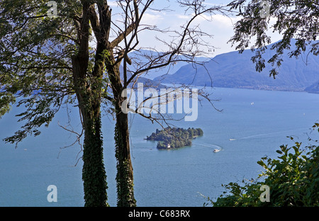 Blick durch die Bäume aus den Bergen auf die Isole di Brissago Stockfoto