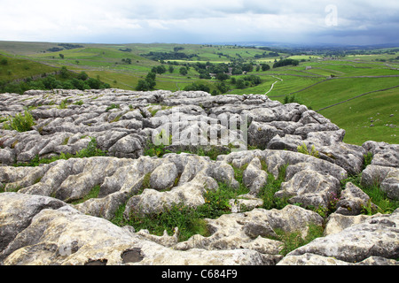 Der Kalkstein Pflaster über Malham Cove, Yorkshire, Yorkshire Dales National Park, England, UK Stockfoto