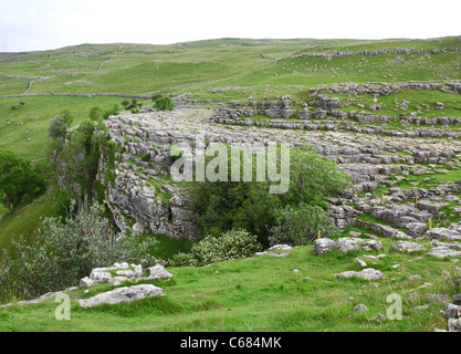 Der Kalkstein Pflaster über Malham Cove, Yorkshire, Yorkshire Dales National Park, England, UK Stockfoto