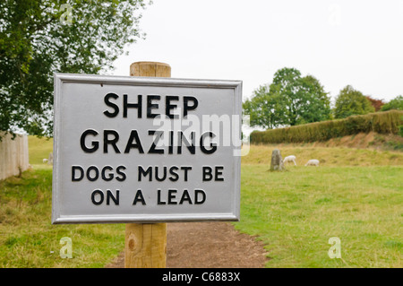 Anmelden Warnung der Öffentlichkeit Hunde an der Leine wie Schafe weiden zu halten. Stockfoto