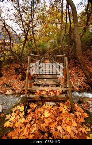 A wooden bridge at the entrance of the remote village of Athamania, Trikala Prefecture, Greece, surrounded by fallen leaves. Stockfoto