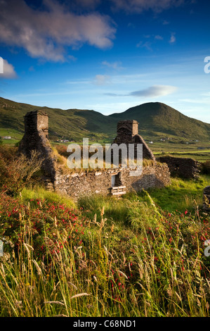 Eine verfallene Hütte in einem Feld von dem Ring of Kerry in der Nähe von Waterville in Irland Stockfoto