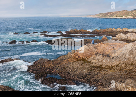 Die schroffen Felsen und Klippen des Montana de Oro State Park in Kalifornien. Stockfoto