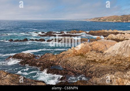 Die schroffen Felsen und Klippen des Montana de Oro State Park in Kalifornien. Stockfoto