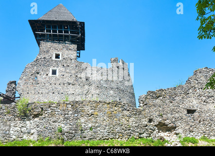 Sommer auf Nevytsky Burgruine (Kamyanitsa Dorf, 12 km nördlich von Uzhgorod, Oblast Transkarpatien, Ukraine). Erbaut im 13. Jh. Stockfoto