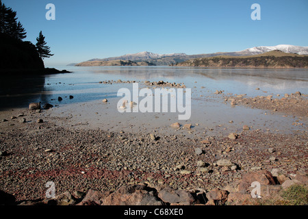 Ein Blick über den Lyttelton Harbour von Governors Bay, Neuseeland Stockfoto