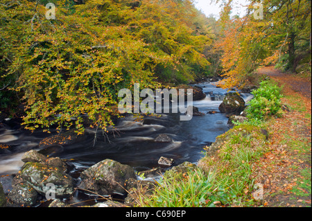 Schlosspark, Stornoway Stockfoto