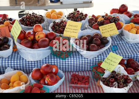 Bauernmarkt Obst stand mit frischen Früchten zum Verkauf Saskatoon Saskatchewan Kanada Stockfoto