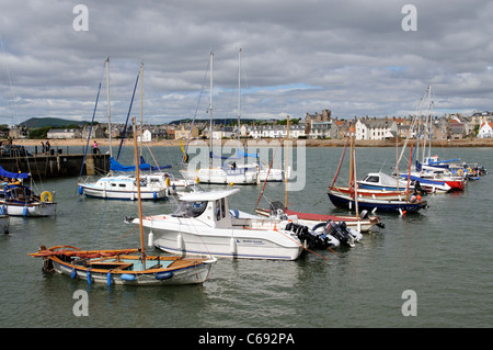 Der Hafen von Elie in Fife Schottland Stockfoto