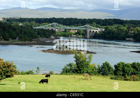 Thomas Telford Hängebrücke zwischen der Isle of Anglesey und über die Menai Straße mit dem Festland von Wales. Stockfoto