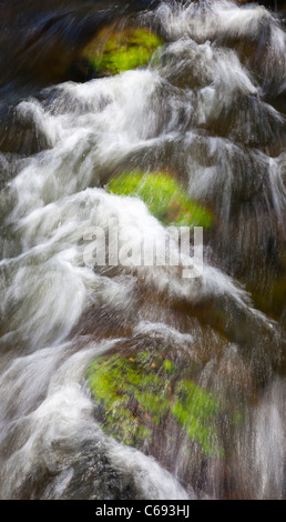 Unterwasserfelsen bedeckt mit grünem Pflanzenwachstum an Stromschnellen, Finnland Stockfoto