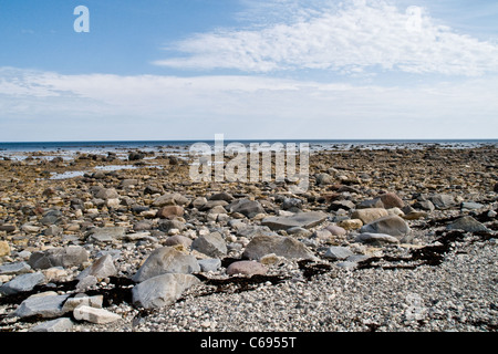 Die exponierten Küsten an der Westküste der Hudson Bay bei Ebbe, Arktischer Ozean, in der Nähe der Stadt Churchill, Manitoba, Kanada. Stockfoto