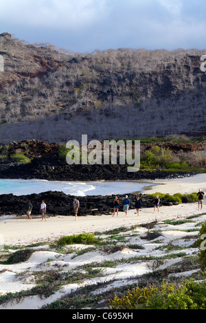 Touristen zu Fuß am Strand von Floreana Insel, Galapagos Stockfoto