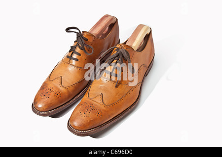 Ein paar modische Schuhe im Schuhe-Bäume. Stockfoto