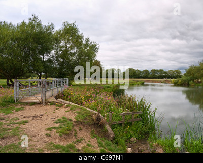 Teil des Thames Path national Trails in der Nähe von Radcot in Oxfordshire. Diese Oberlauf der Themse sind auch bekannt als der Isis. Stockfoto